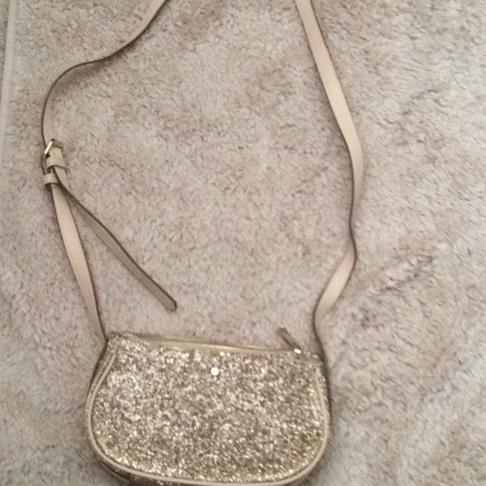 Glittery purse